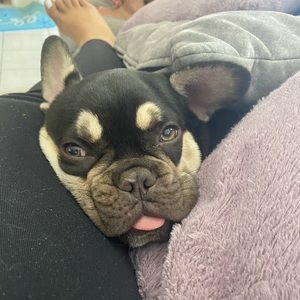 Meet your Posher, Brianna